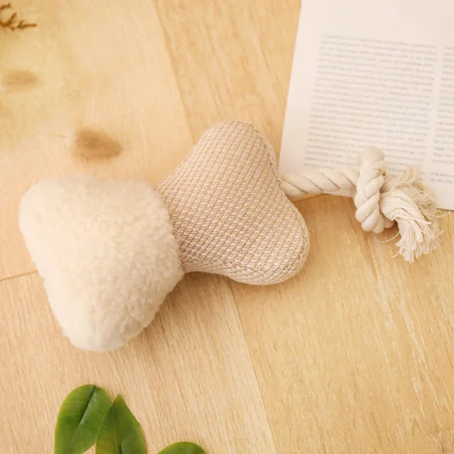 https://cdn.shopify.com/s/files/1/0816/8892/0369/files/10_6d542d8a-a694-4774-ac2f-20e535a9004e.webp?v=1721024600