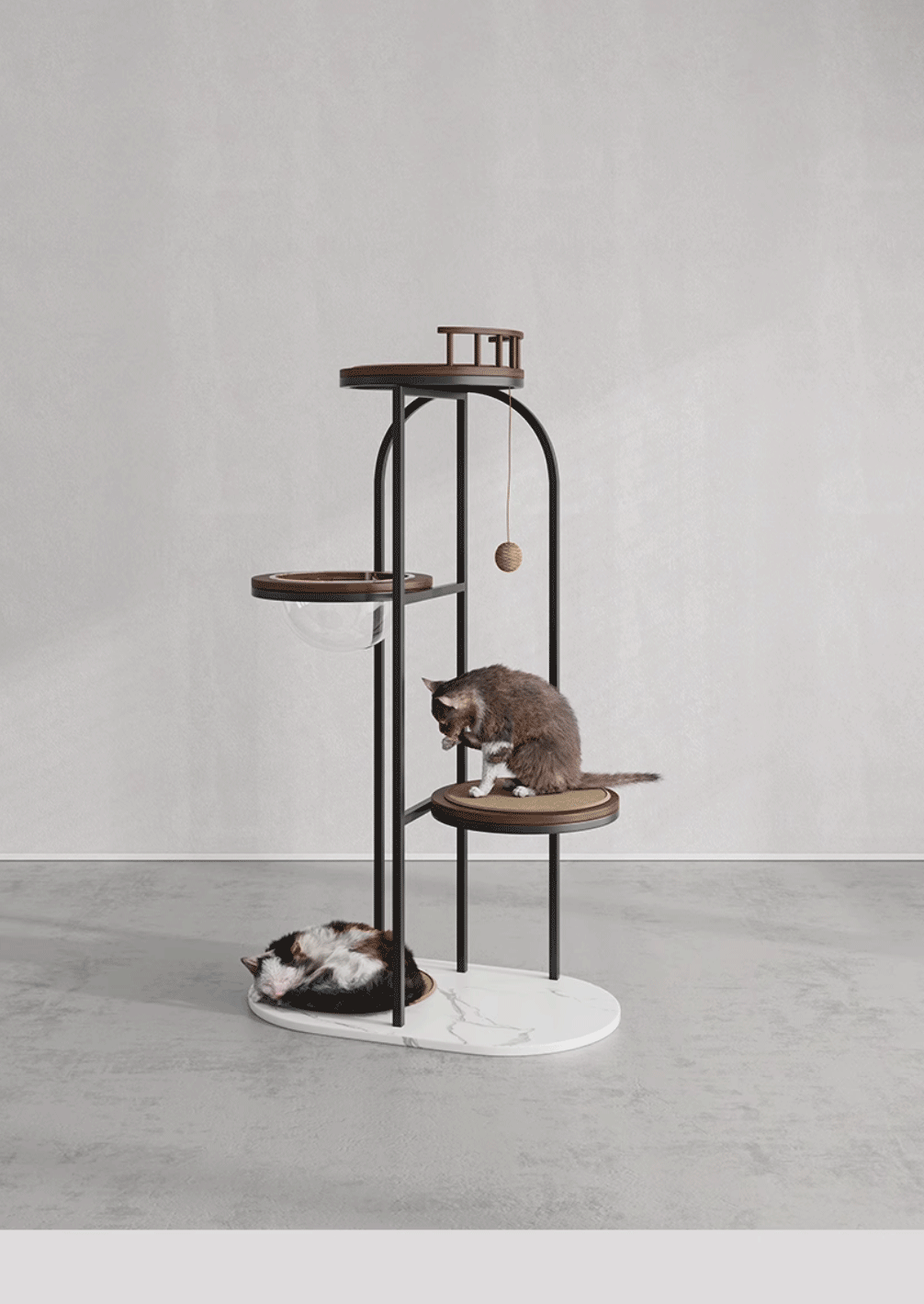 https://cdn.shopify.com/s/files/1/0816/8892/0369/files/1_03.gif?v=1738125575