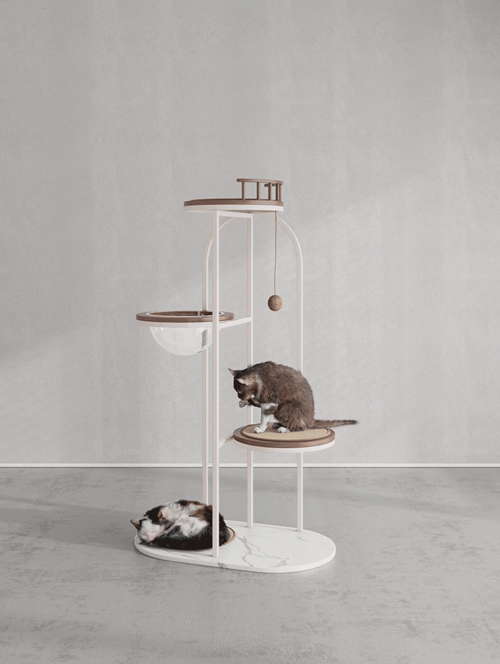 https://cdn.shopify.com/s/files/1/0816/8892/0369/files/1_08.gif?v=1738125574