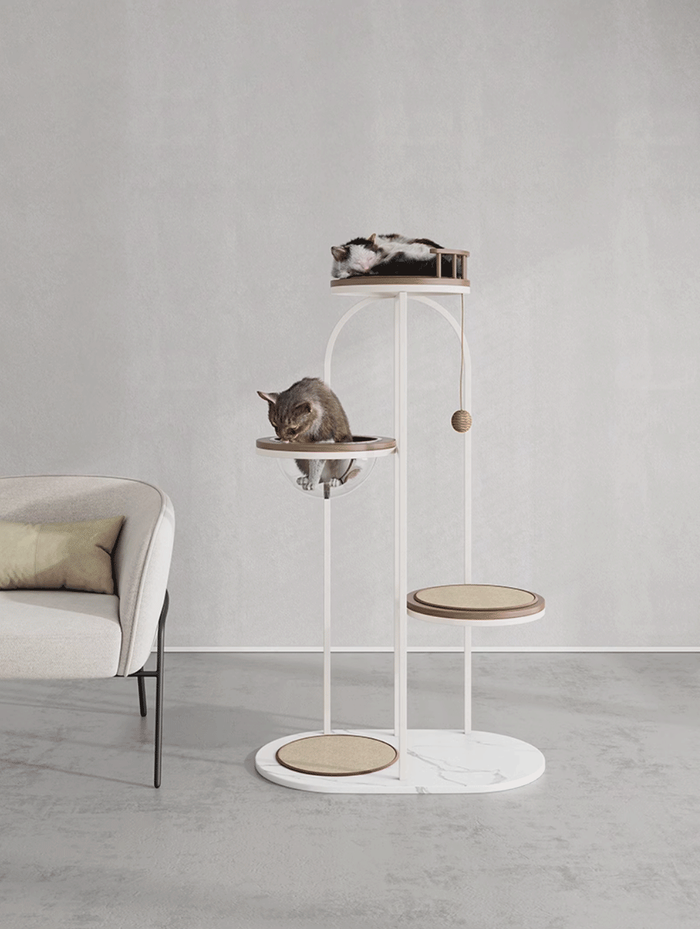 https://cdn.shopify.com/s/files/1/0816/8892/0369/files/1_10.gif?v=1738125575