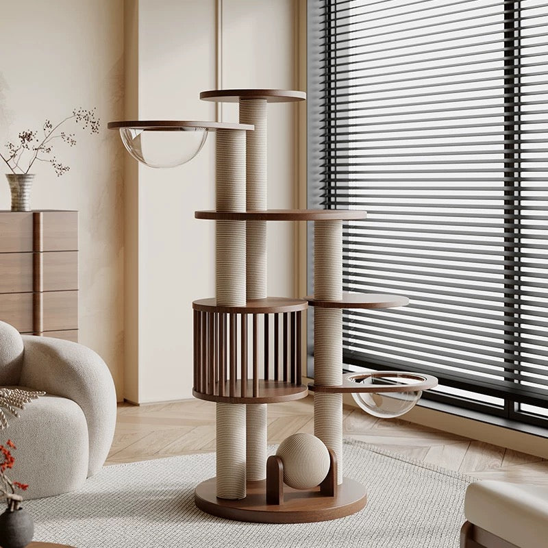https://cdn.shopify.com/s/files/1/0816/8892/0369/files/1_14_1.jpg?v=1740232624