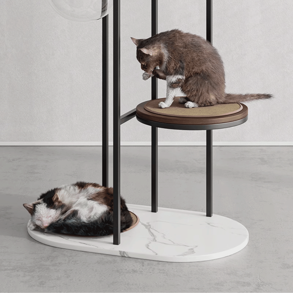 https://cdn.shopify.com/s/files/1/0816/8892/0369/files/1_18.gif?v=1738125575