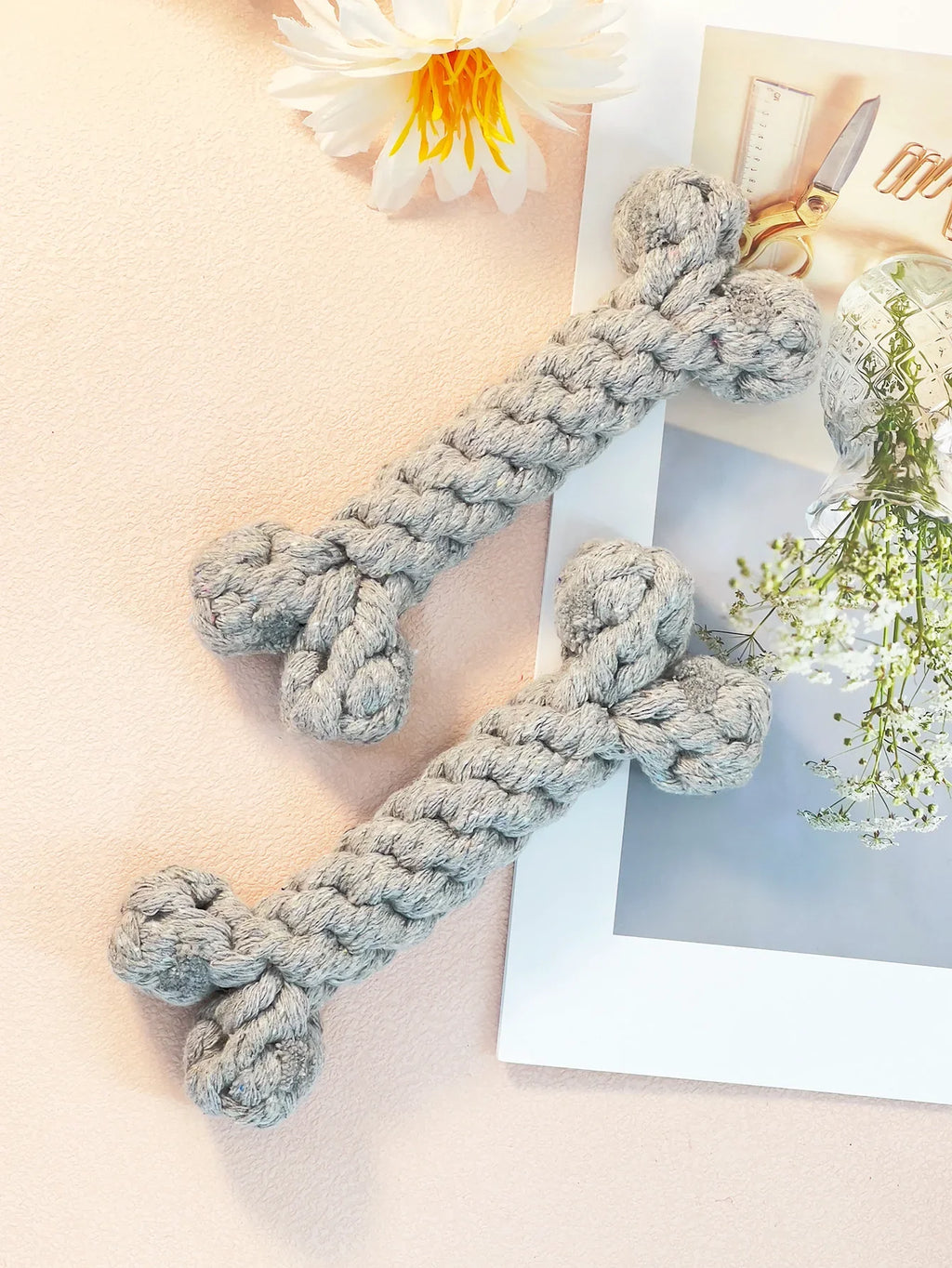 https://cdn.shopify.com/s/files/1/0816/8892/0369/files/1_1ae75b71-bfba-4e69-adda-2e61ac9d7059.webp?v=1720980774