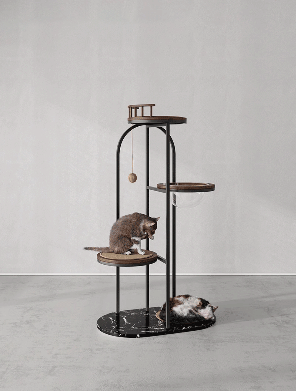 https://cdn.shopify.com/s/files/1/0816/8892/0369/files/1_30.gif?v=1738125575