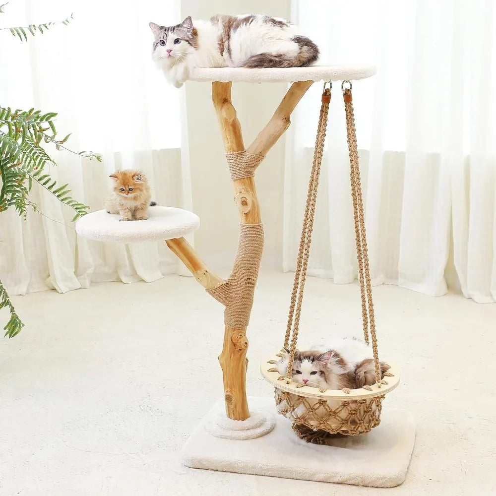 https://cdn.shopify.com/s/files/1/0816/8892/0369/files/2_0fb40759-7191-4b22-8e35-a74b6fbeaaf4.webp?v=1720584967
