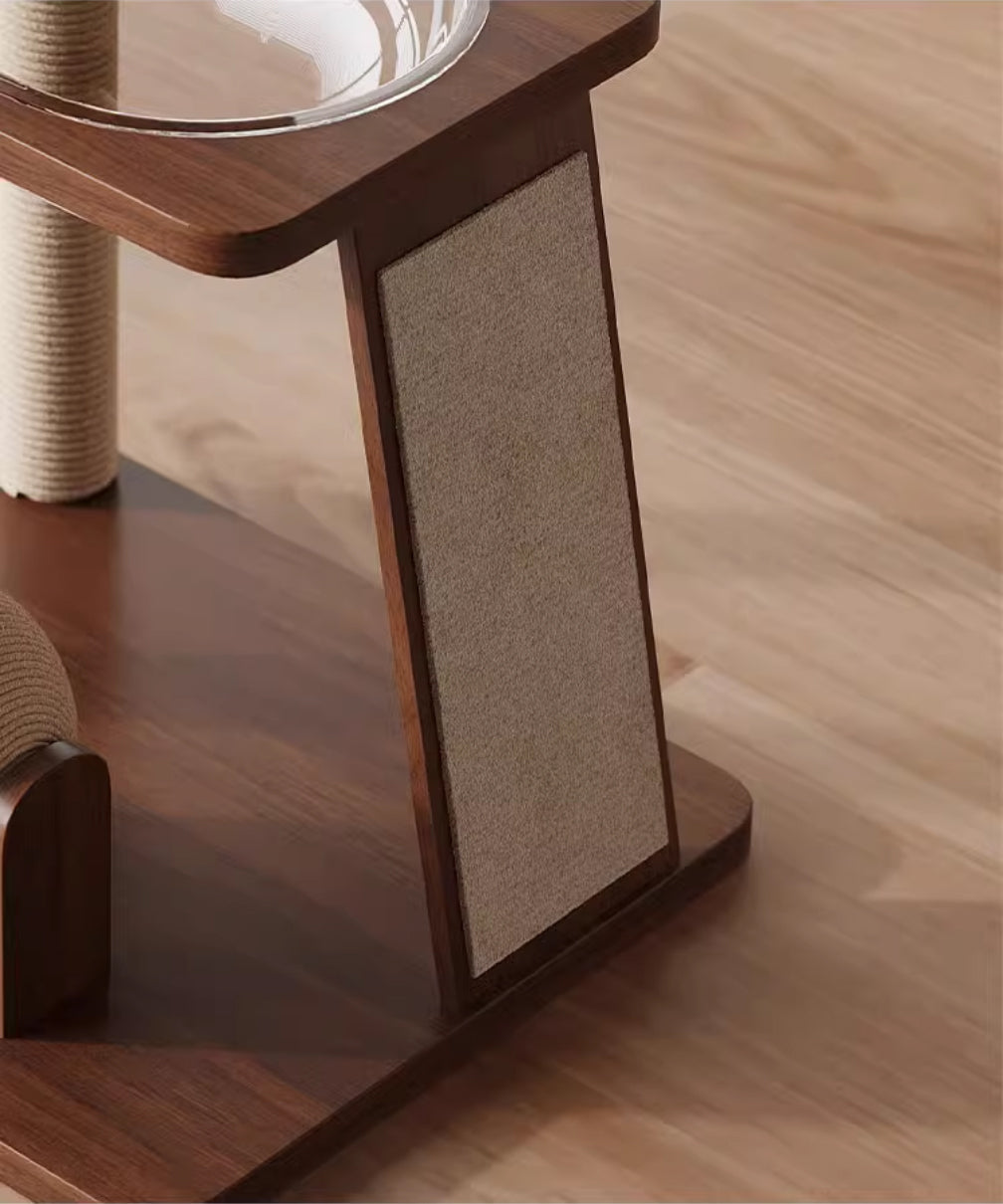https://cdn.shopify.com/s/files/1/0816/8892/0369/files/2_2.jpg?v=1740358697