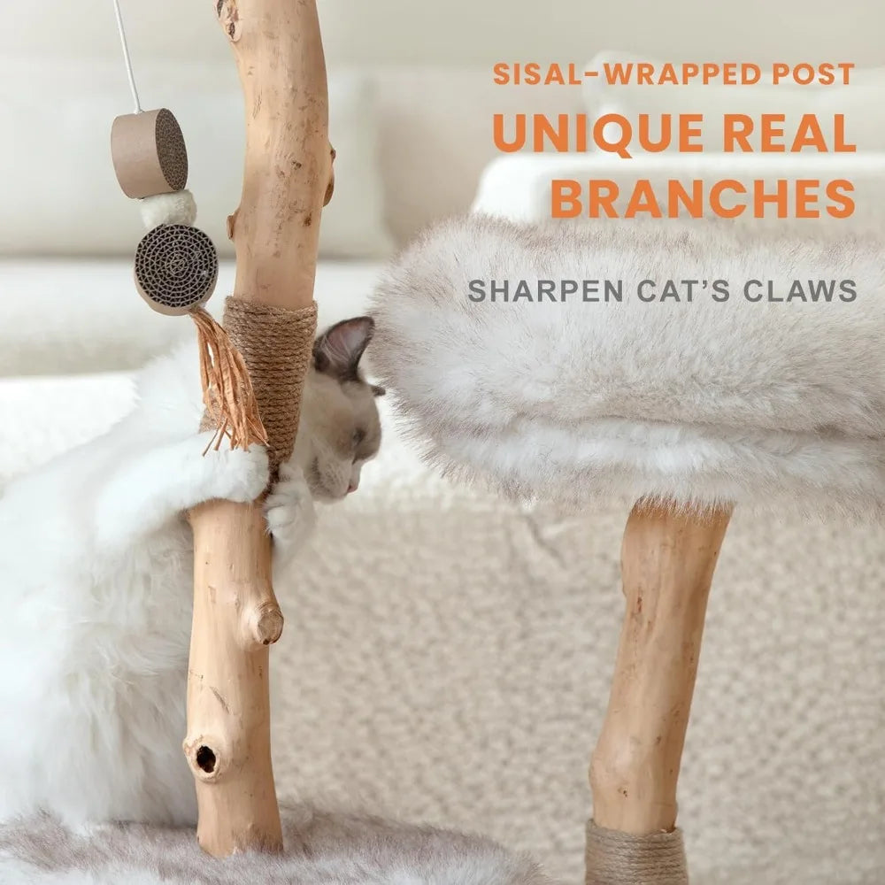 https://cdn.shopify.com/s/files/1/0816/8892/0369/files/3_0b65b5ea-90c1-4cf8-8428-7166c61c3299.webp?v=1721087816