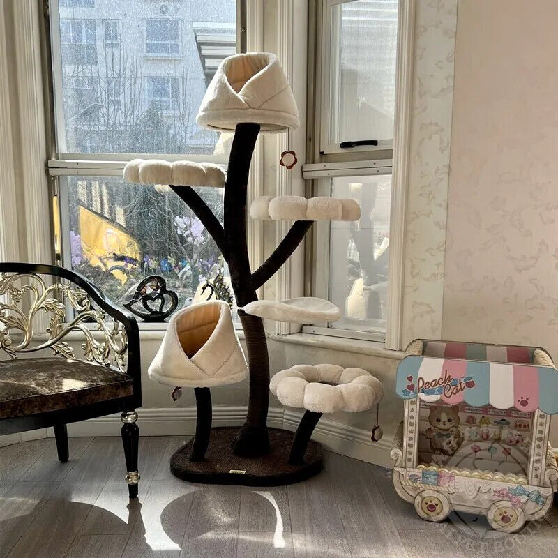 https://cdn.shopify.com/s/files/1/0816/8892/0369/files/4115e8ed-624e-4ab0-b82f-da1f88ff736e.jpg?v=1765430452