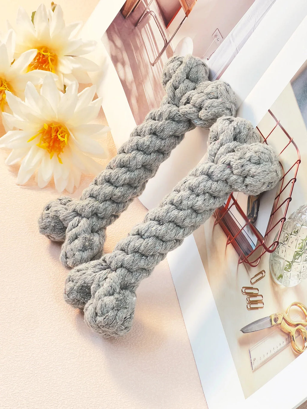 https://cdn.shopify.com/s/files/1/0816/8892/0369/files/4_3ff1a3a9-534b-4827-ab07-5cb0181b0182.webp?v=1720980774