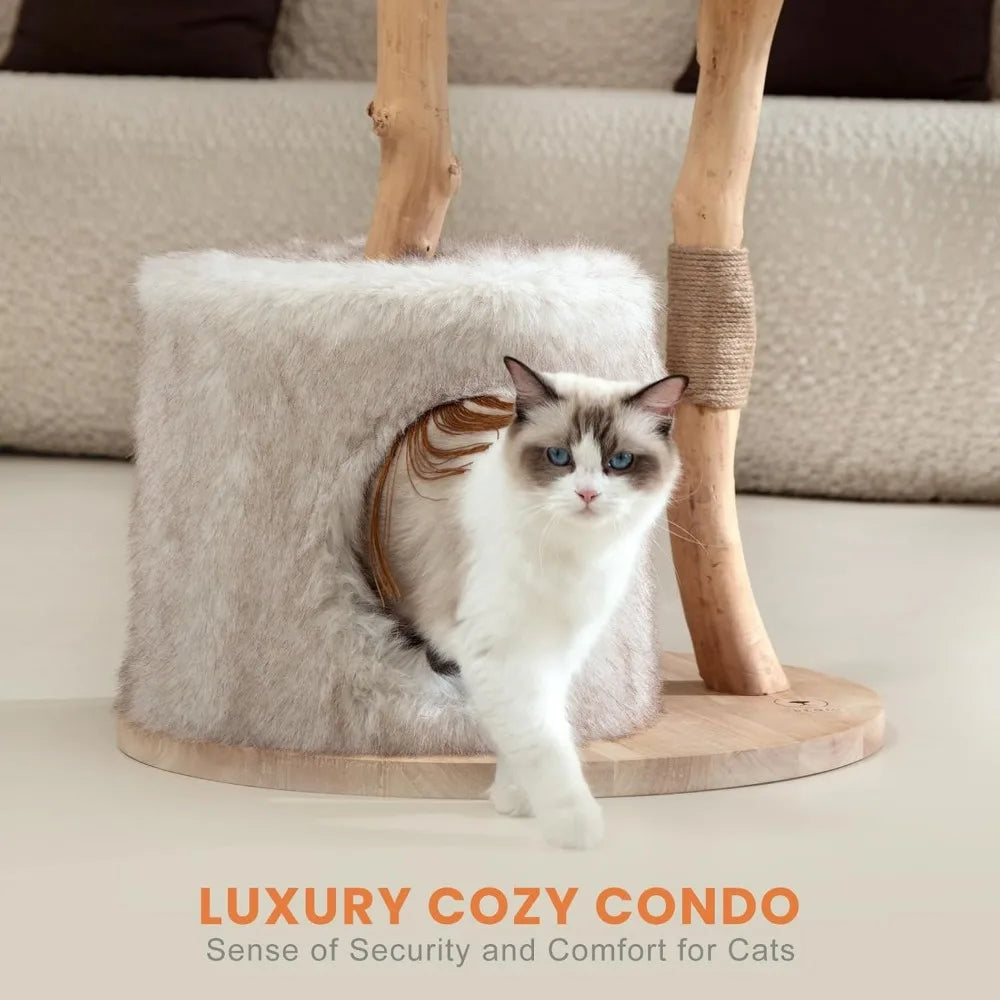 https://cdn.shopify.com/s/files/1/0816/8892/0369/files/5_4c9363ce-9839-4d0d-b97a-cec42af3557d.webp?v=1721087816