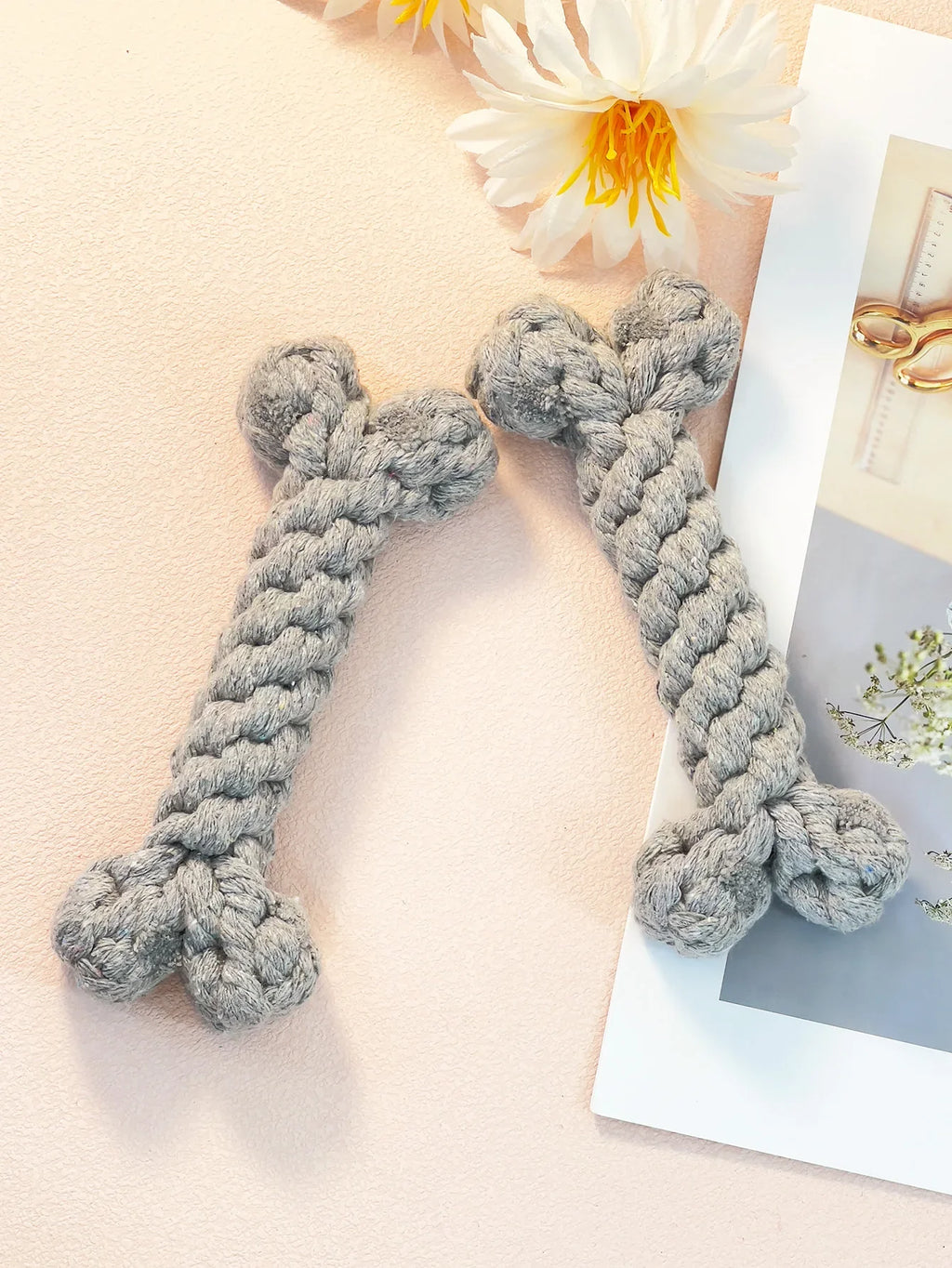 https://cdn.shopify.com/s/files/1/0816/8892/0369/files/5_8bfaa3e8-3da9-46d6-9096-0777c74d3e7c.webp?v=1720980774