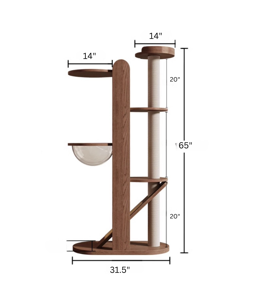 https://cdn.shopify.com/s/files/1/0816/8892/0369/files/65.png?v=1742660220
