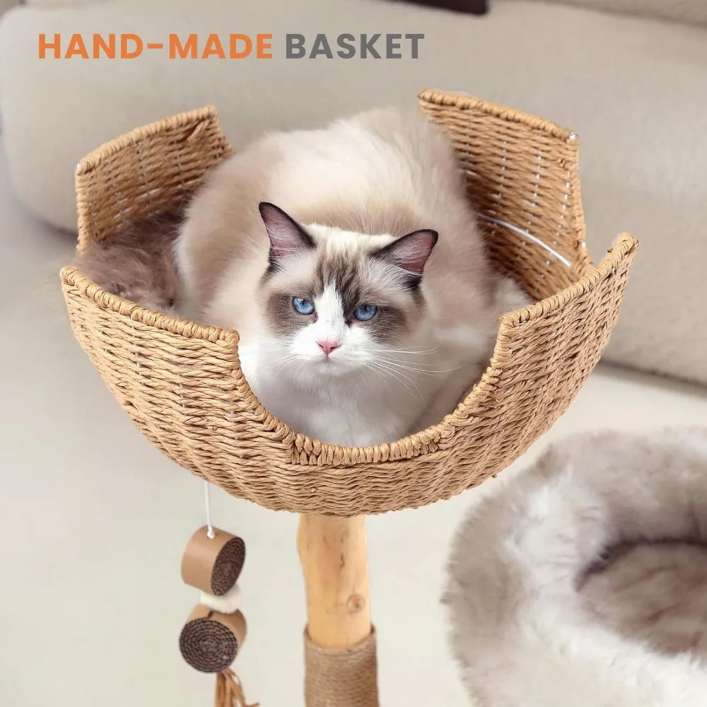 https://cdn.shopify.com/s/files/1/0816/8892/0369/files/6_1a4d922e-0409-4293-a92b-a334a4269034.webp?v=1721087816
