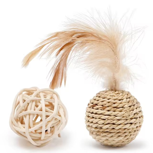 https://cdn.shopify.com/s/files/1/0816/8892/0369/files/7.jpg?v=1722147966