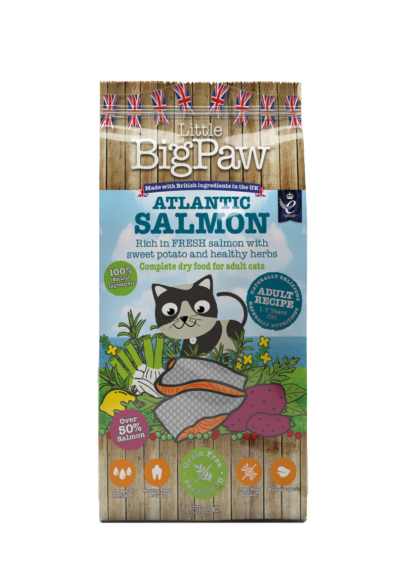 https://cdn.shopify.com/s/files/1/0684/6883/4571/files/Bag-Fronts-Salm-Adult.png?v=1746698963