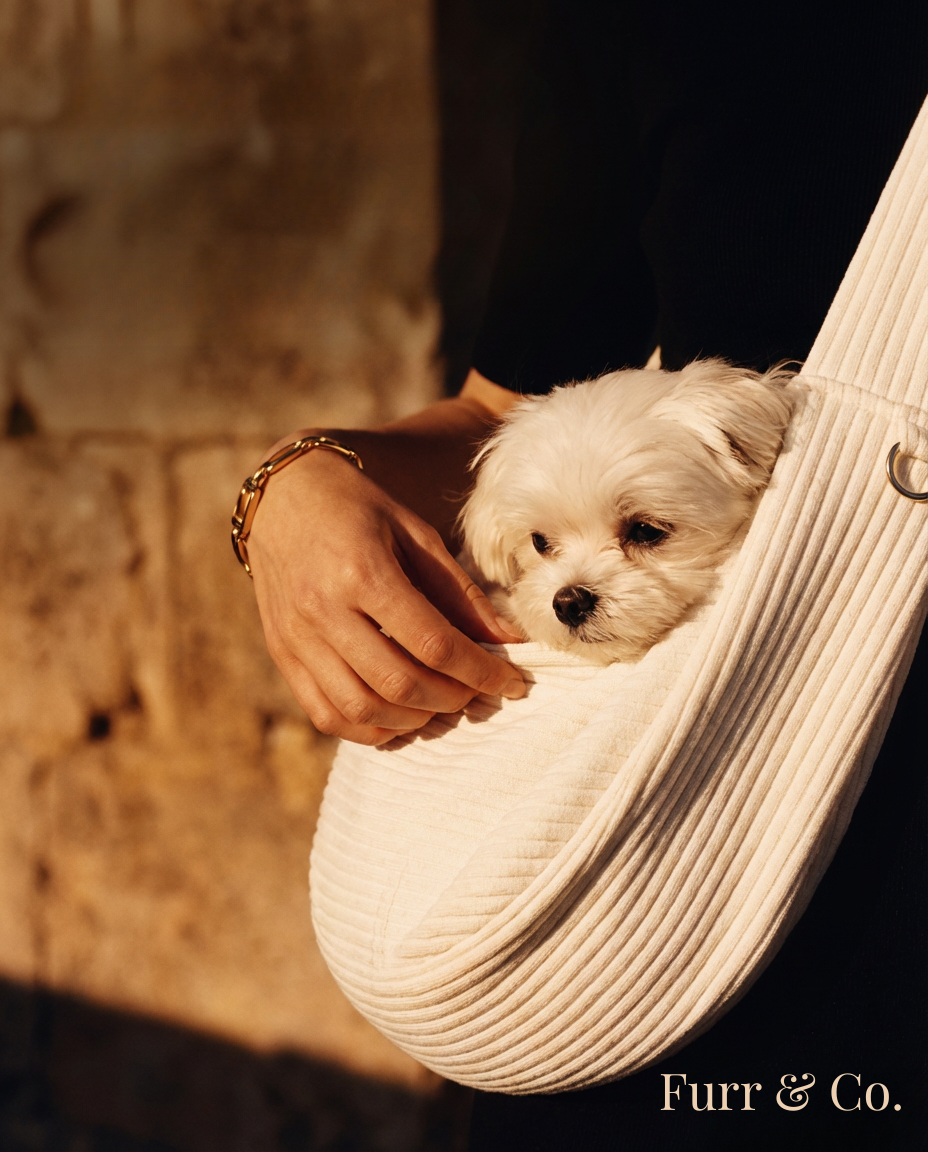https://cdn.shopify.com/s/files/1/0816/8892/0369/files/Furr_Co._4.png?v=1767497765