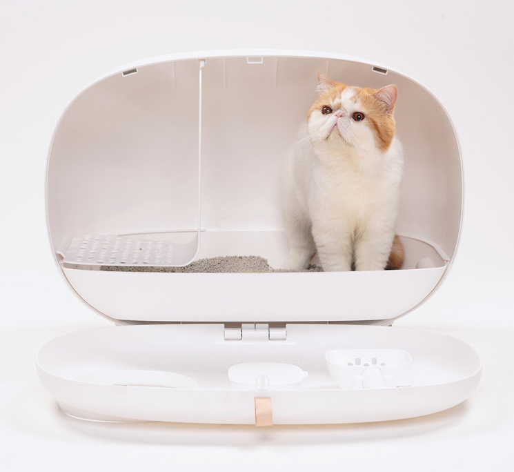 https://cdn.shopify.com/s/files/1/0816/8892/0369/products/H6586691bbfa342c090af49a494f63505R.png?v=1739131036