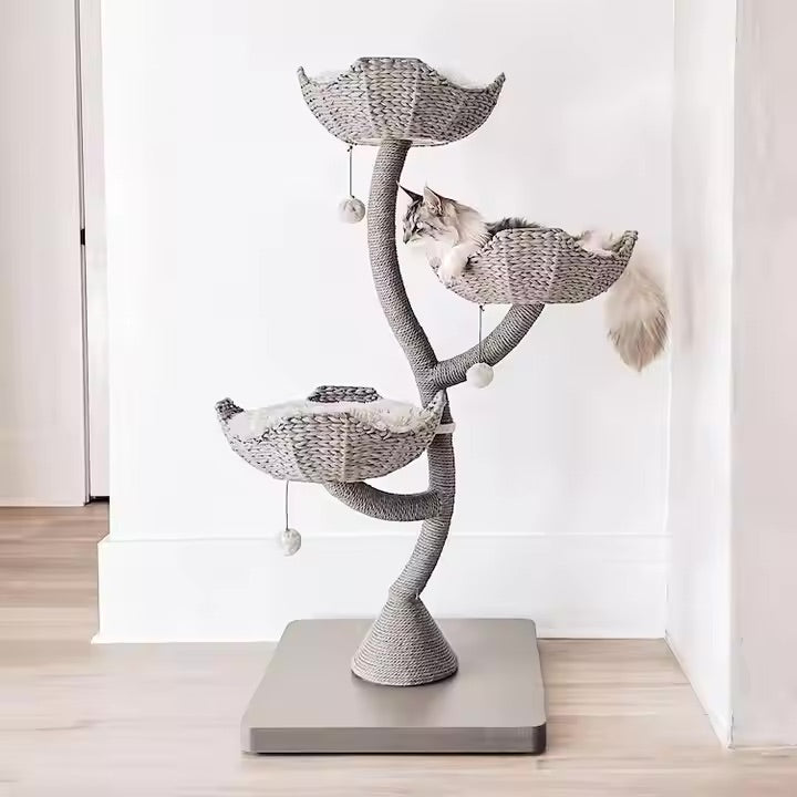 https://cdn.shopify.com/s/files/1/0816/8892/0369/files/Hbdef2a1ac757423ba00621f91b081106O.jpg_720x720q50.jpg?v=1728929512