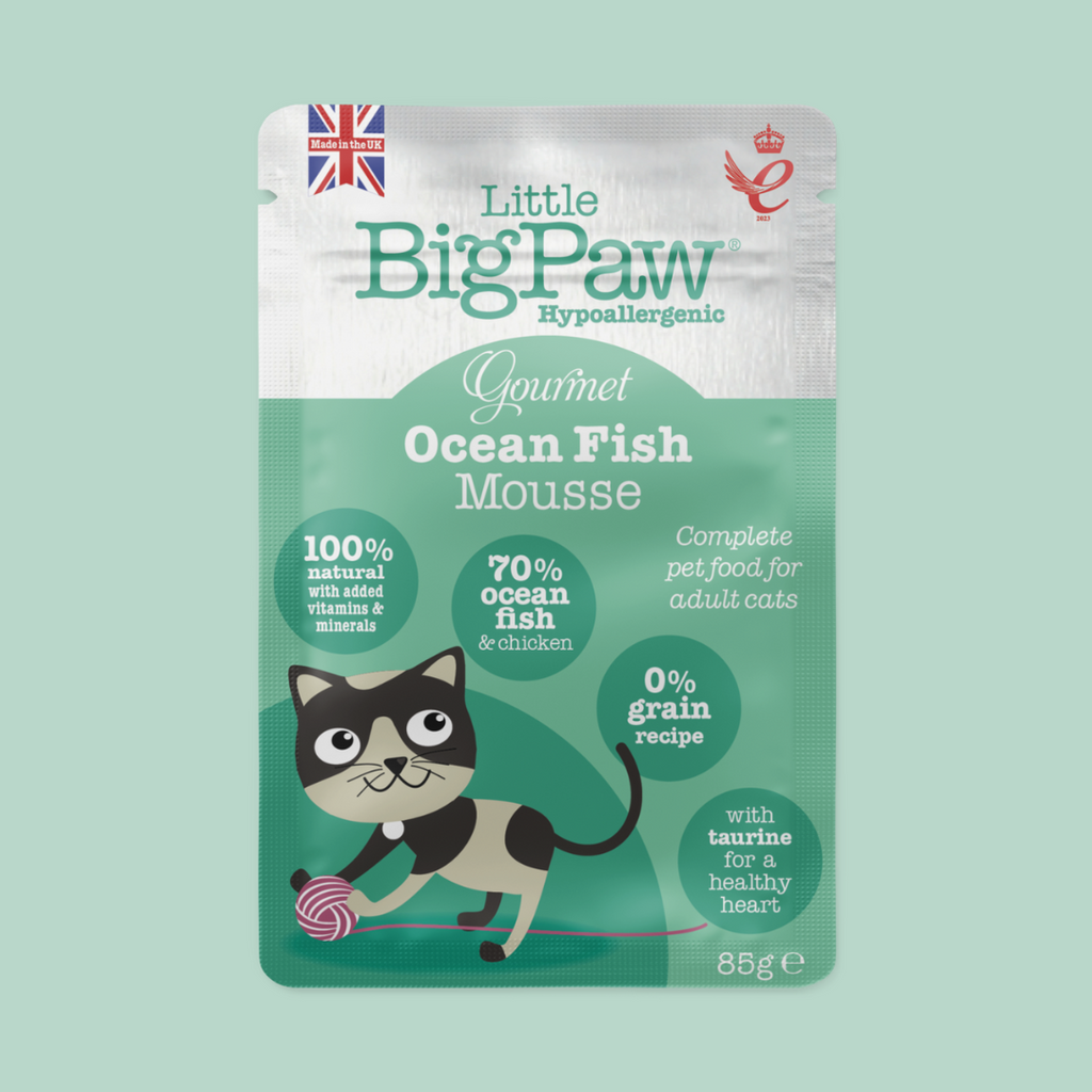 https://cdn.shopify.com/s/files/1/0684/6883/4571/files/PawsUpPetShop_LittleBigPawWetFood_2.png?v=1746698953
