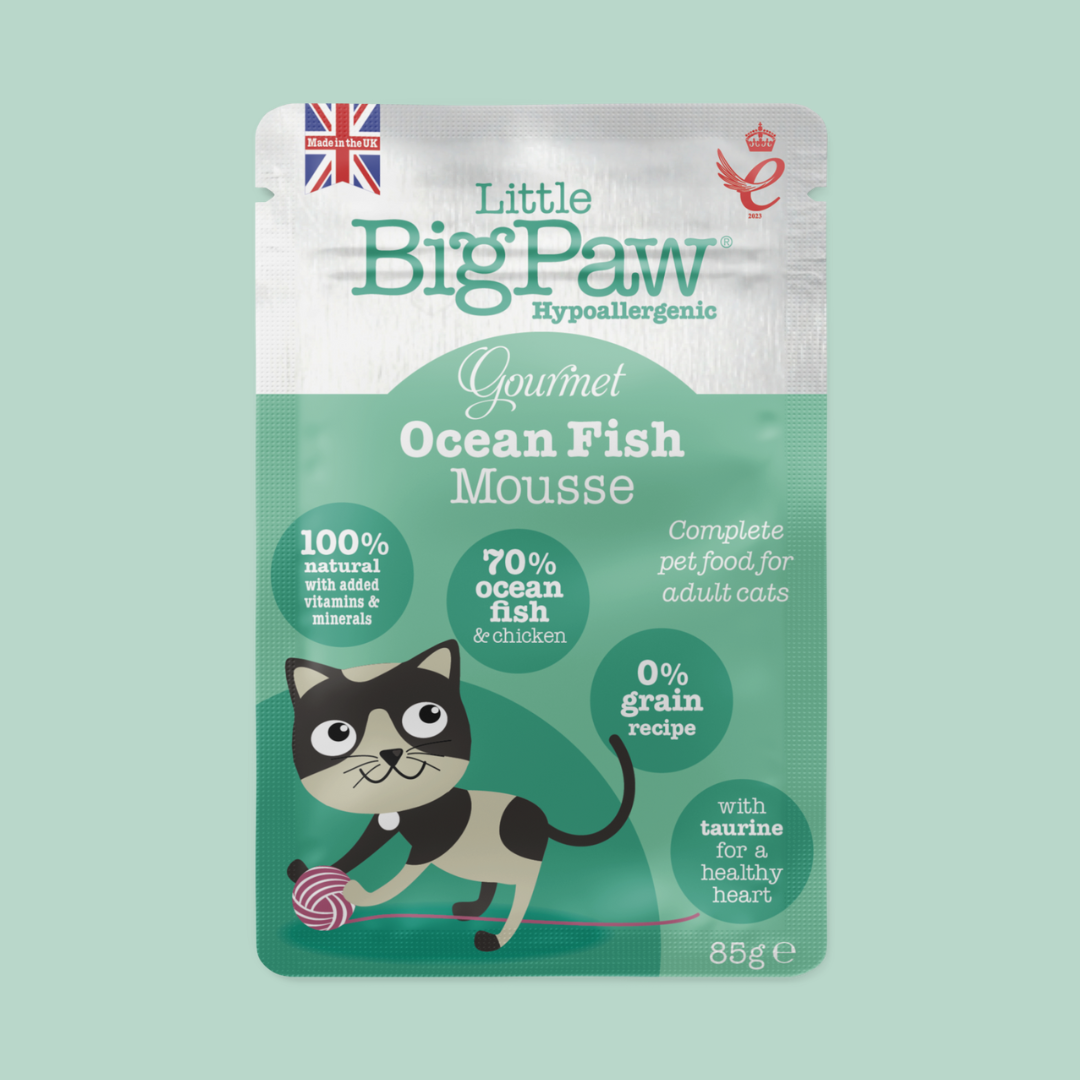 https://cdn.shopify.com/s/files/1/0684/6883/4571/files/PawsUpPetShop_LittleBigPawWetFood_2.png?v=1746698953