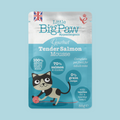 https://cdn.shopify.com/s/files/1/0684/6883/4571/files/PawsUpPetShop_LittleBigPawWetFood_6.png?v=1746698950