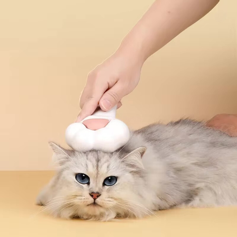 https://cdn.shopify.com/s/files/1/0816/8892/0369/files/Untitled_design_31.png?v=1721885666
