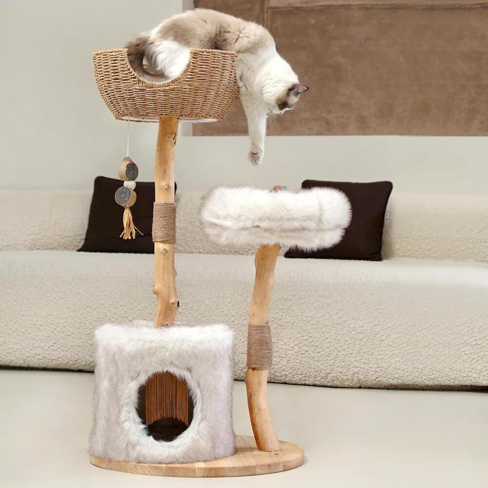 https://cdn.shopify.com/s/files/1/0816/8892/0369/files/Untitleddesign_23.png?v=1721087804