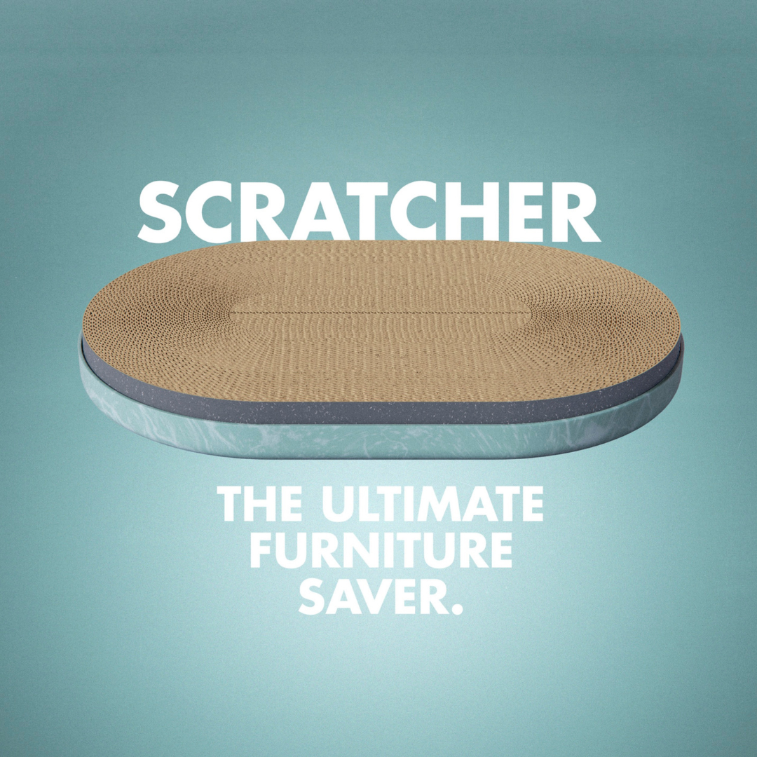 https://cdn.shopify.com/s/files/1/0684/6883/4571/files/ZeeCat_Scratcher_Cat_1_9359111f-6614-4057-a8a8-ded8753610af.png?v=1746699353