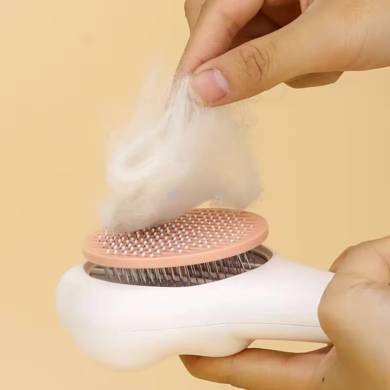 https://cdn.shopify.com/s/files/1/0816/8892/0369/files/b41578ad-11de-4d9d-80f5-fa678bd75b29_aa4d92cd-2b2b-434f-87a7-b2b1e42b1adf.jpg?v=1721885817