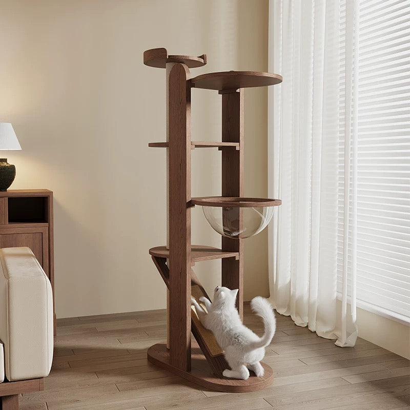 https://cdn.shopify.com/s/files/1/0816/8892/0369/files/pic_4_dd66ae35-c0c8-40c4-bedf-b21e451e6b6e.jpg?v=1740225664
